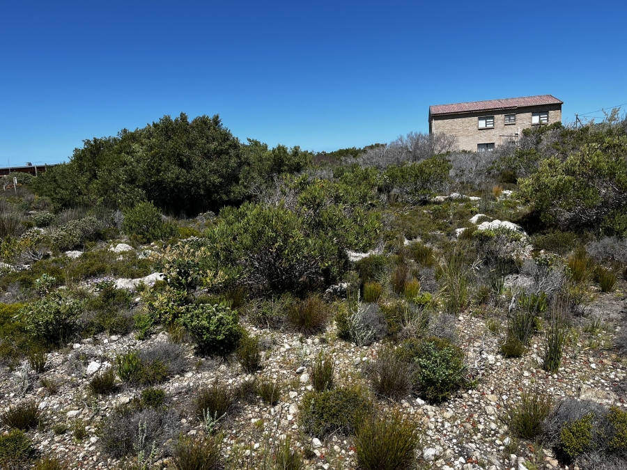 0 Bedroom Property for Sale in Bettys Bay Western Cape